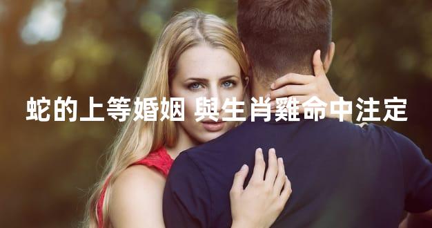 蛇的上等婚姻 與生肖雞命中注定